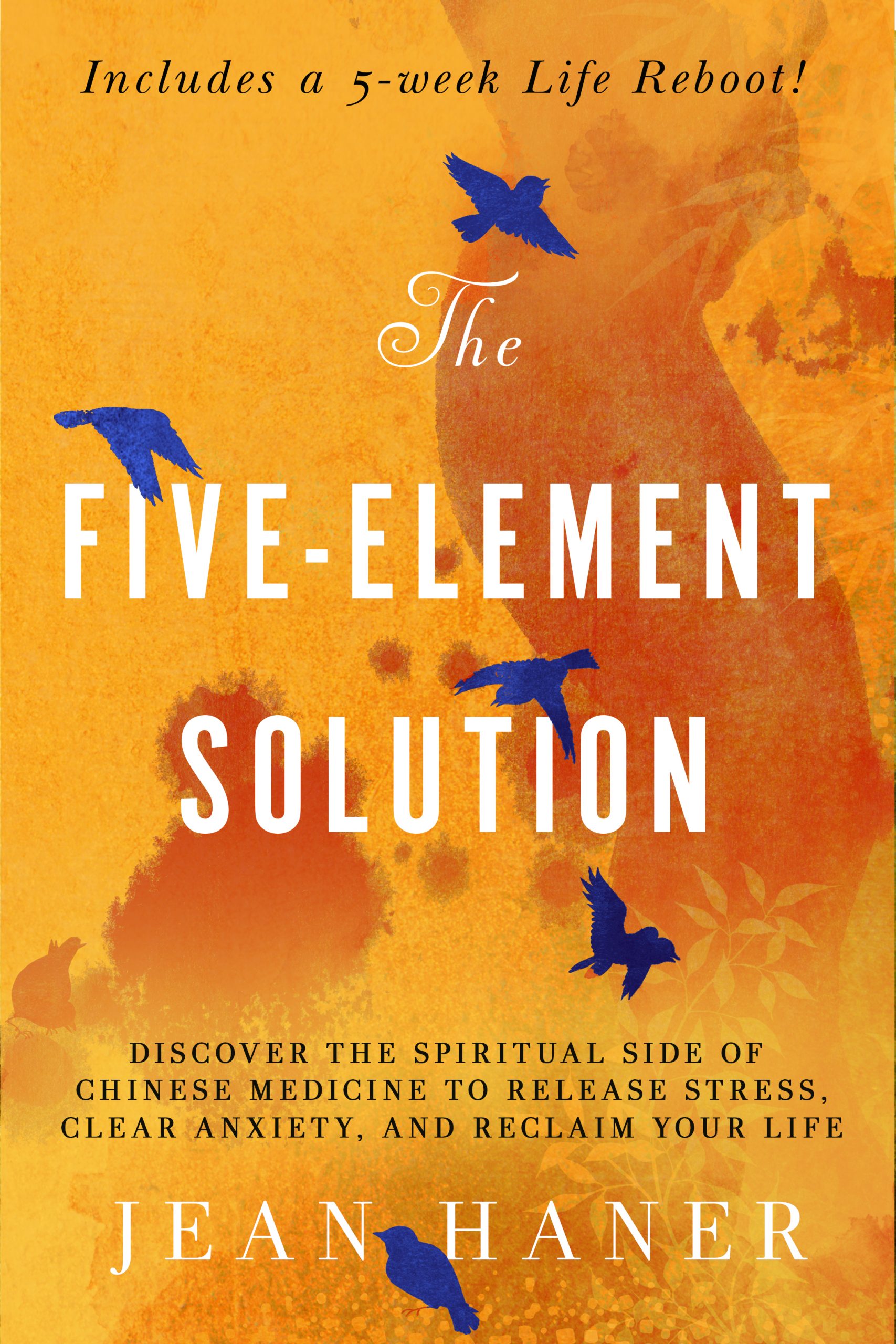 The Five Element Solution Book Cover